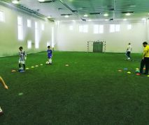 Групповые тренировки по футболу от 3 лет в клубе Young