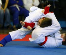 BJJ бразильское джиу-джитсу