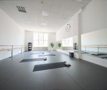 Зал № 13 Alex Studio (65 кв) с балетным покрытием