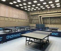 Настольный теннис