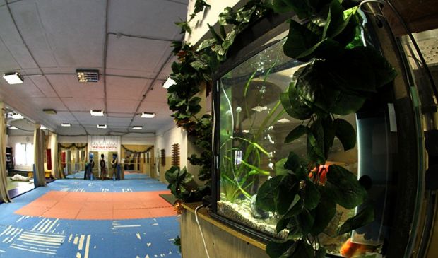 Фотография Будокан Красные ворота Зал единоборств №1 (100 кв.м.)