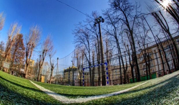 Фотография Верхнее искусственное поле Торпедо (42х26)