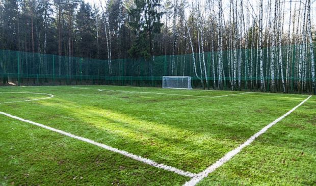 Фотография Футбольное поле в парке Мещерский