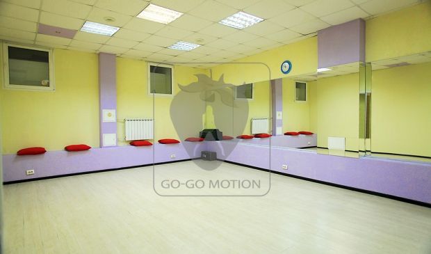 Фотография Go-go Motion Танцевальный зал №3 (20 кв.м)