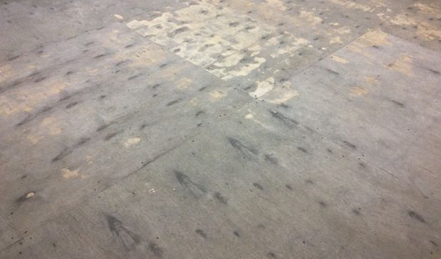 Фотография Студия танцев в Мастерской Олега Буданкова (5 кабинет)