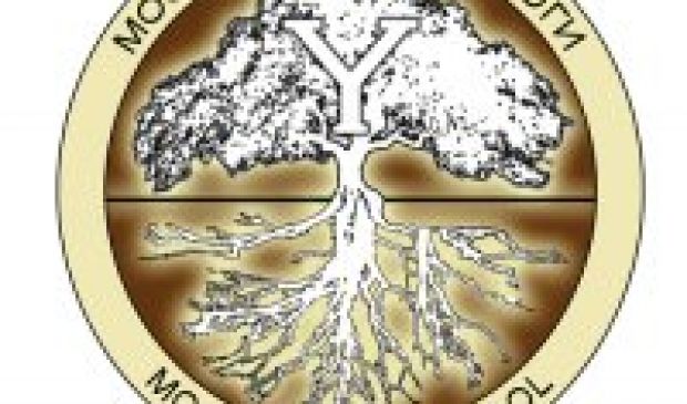 Фотография Московская школа йоги (Серпуховская)