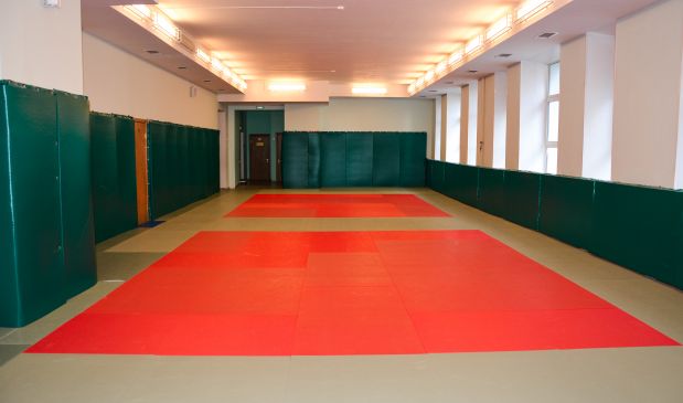 Фотография Зал дзюдо большой № 4 в Спортивной школе олимпийского резерва № 25
