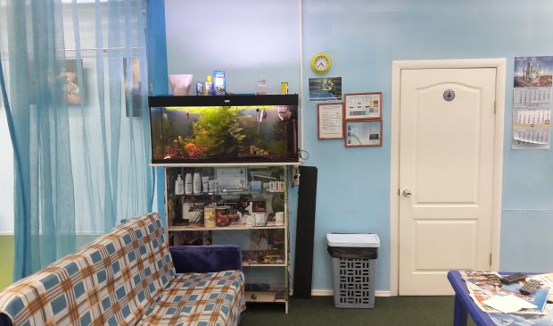 Фотография Центр настольного тенниса 