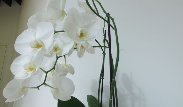 Фотография Tango Dance Studio