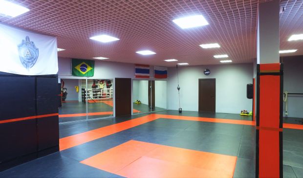 Фотография Art of Fight