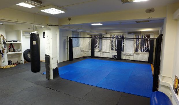 Фотография Octagon Fights