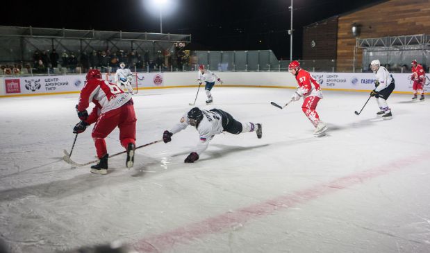 Фотография Хоккейная площадка на ВДНХ