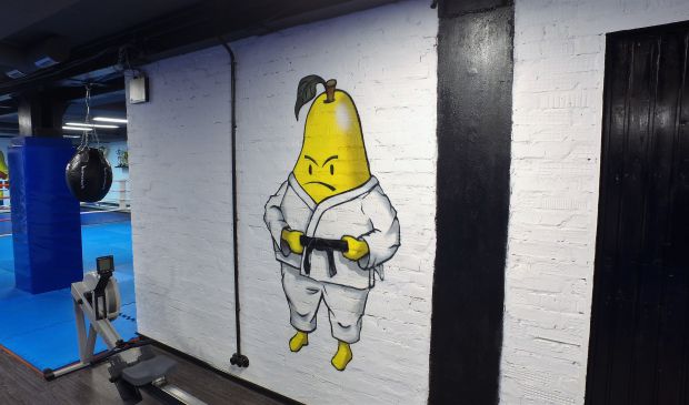 Фотография Груша