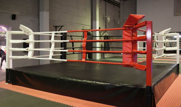 Фотография Octopus Baza