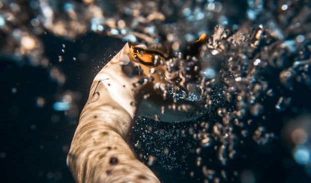 Фотография Школа плавания для взрослых SwimRocket