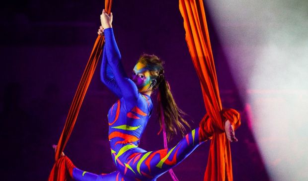 Фотография Воздушная гимнастика и цирковое искусство