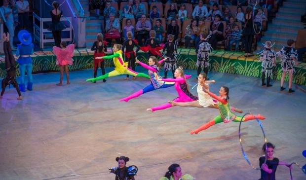 Фотография Воздушная гимнастика и цирковое искусство