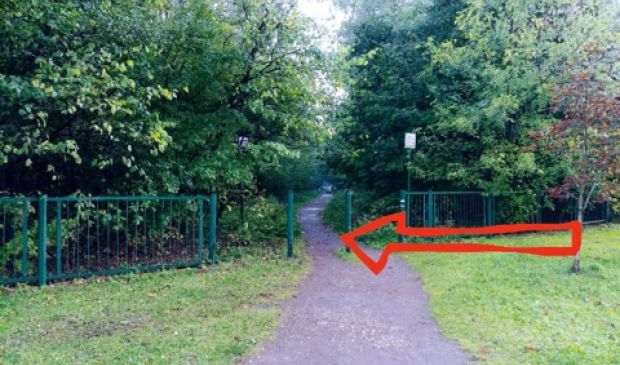 Фотография ФОК Лосиный остров