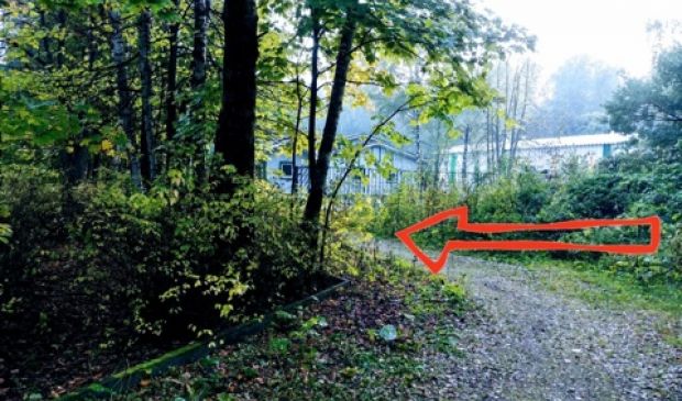 Фотография ФОК Лосиный остров