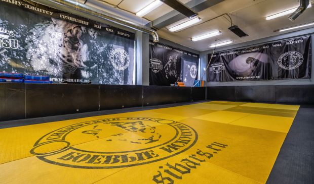 Фотография Мягкий зал Единоборств 100 кв. м. в CrossFit&Fight Клубе Сибирский Барс