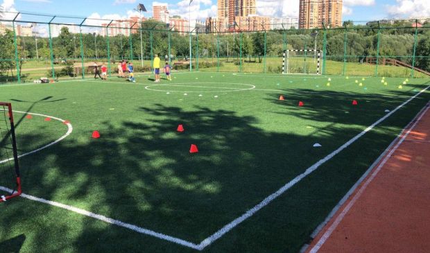 Фотография Футбольное поле 33х23 Home-Arena