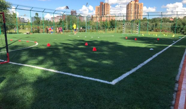 Фотография Футбольное поле 33х23 Home-Arena