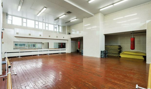 Фотография Зал гимнастики и восточных единоборств СК 