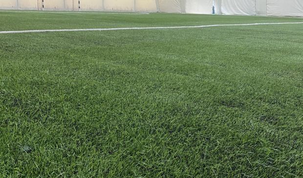 Фотография RALF ARENA 44х28 м на Добролюбова