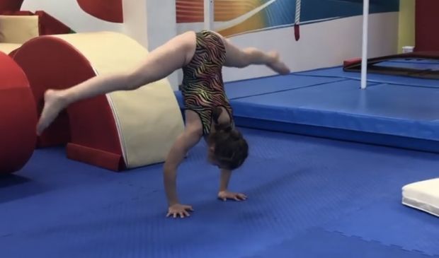 Фотография Спортивная и художественная гимнастика