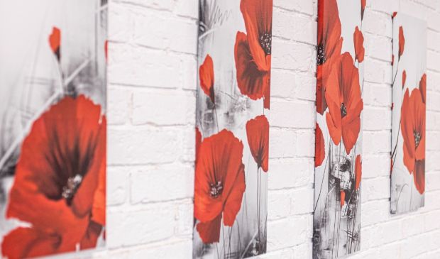 Фотография Белый зал для танцев Альфа-пластик