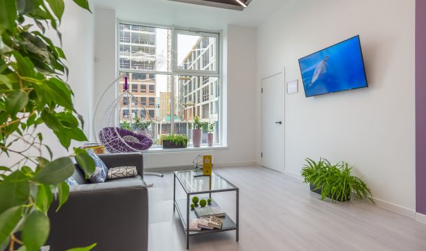 Фотография Большой зал 80 кв.м. в студии растяжки 