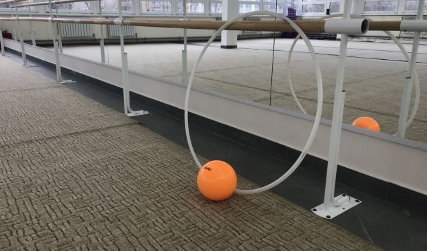 Фотография  Художественная гимнастика от 3-х лет и старше (для начинающих и опытных спортсменок)