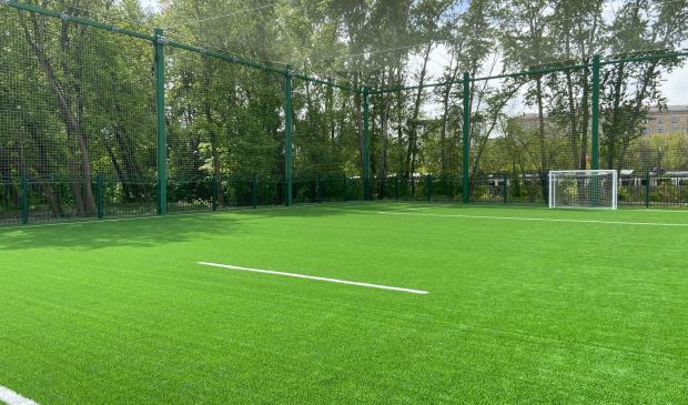 Фотография АПИА АРЕНА ФУТБОЛЬНОЕ ПОЛЕ 60х30 