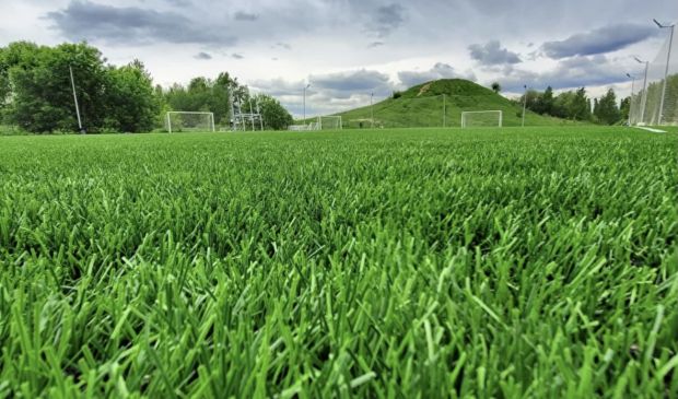 Фотография Футбольный манеж 92х54 