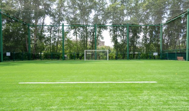 Фотография АПИА АРЕНА ФУТБОЛЬНОЕ ПОЛЕ 60х30 