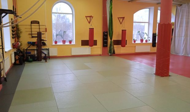 Фотография Золотой Дракон