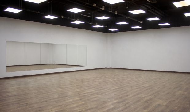 Фотография Стрип-пластика и эстетический стиль танца