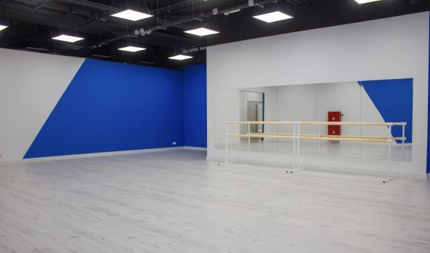 Фотография Стрип-пластика и эстетический стиль танца