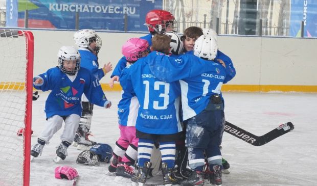 Фотография Хоккей с шайбой\роллеркей