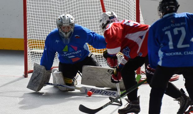 Фотография Хоккей с шайбой\роллеркей