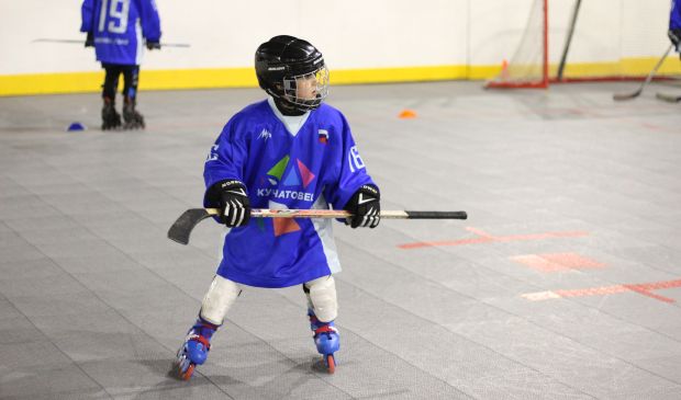 Фотография Хоккей с шайбой\роллеркей