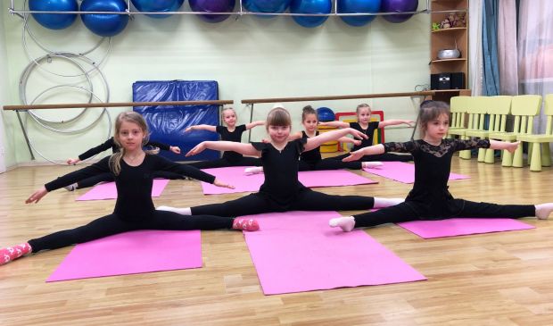 Фотография Школа художежственной гимнастики GymBalance в Юго-Западном