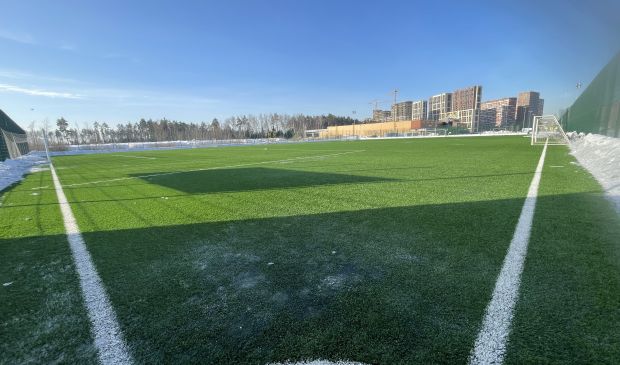 Фотография Футбольное поле 