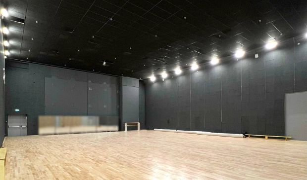 Фотография Танцевальное пространство №5 «Активити Холл»