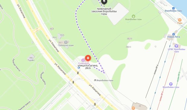 Фотография Мини-футбольные поля 38х19 на Воробьевых горах