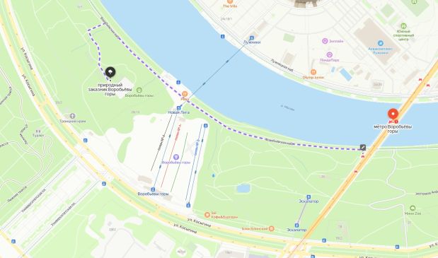 Фотография Мини-футбольные поля 38х19 на Воробьевых горах