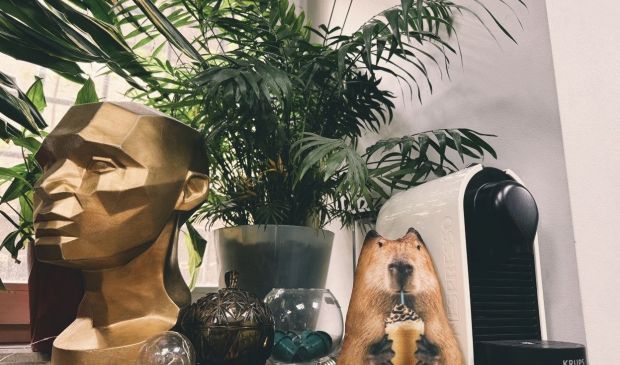 Фотография Пространство «Унца Унца Спорт»