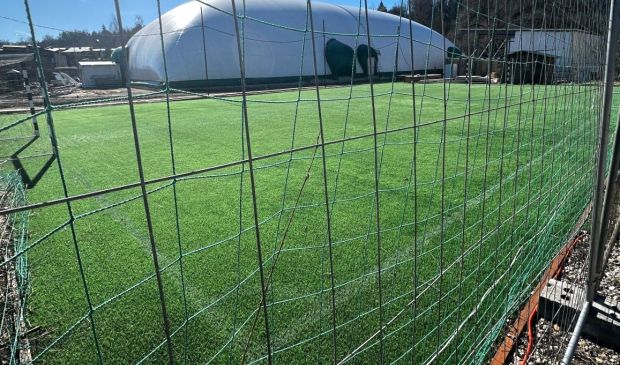 Фотография Футбольное поле ФОК 