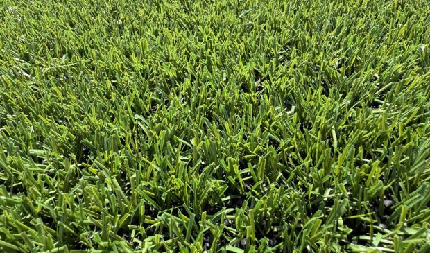 Фотография Футбольное поле 