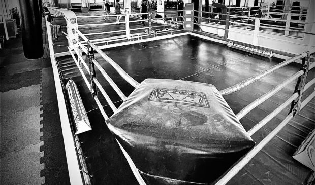 Фотография Зал для единоборств с рингом SportActiv (242 кв.м)